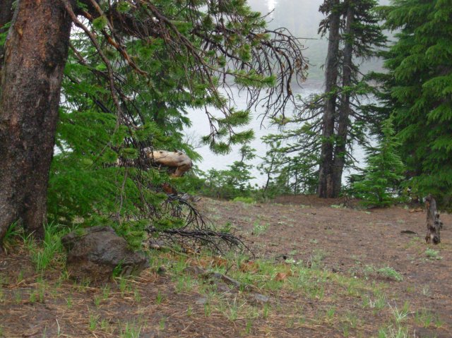 Summer '06 Sunriver 564 